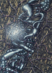 The internal organs city