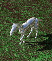 Computer graphics